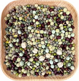 Avian FRESH Diet Parrot Food-Bean Supreme! Sprout Blend  1 lb.